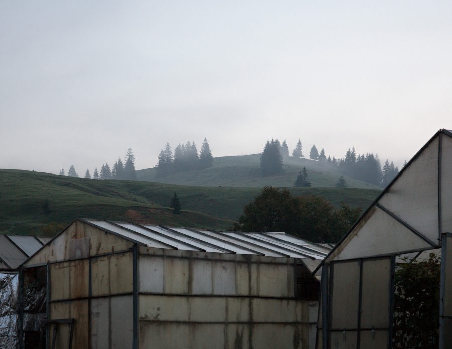 Agricultural buildings with hills and fir trees in the morning fog.