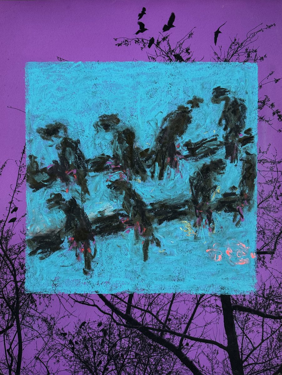 Velimir IlisÌevicÌ / Oliver Mark, KraÌhen im Park 39,8 x 30cm, Pastel on photography (HahnemuÌhle) 2025.