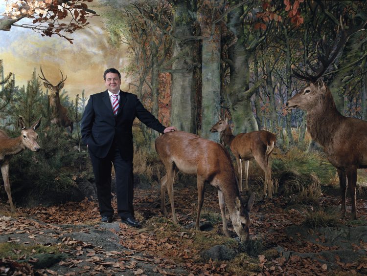 Sigmar Gabriel in the Museum of Natural History at the Humboldt University in Berlin in the diorama with forest and deer.