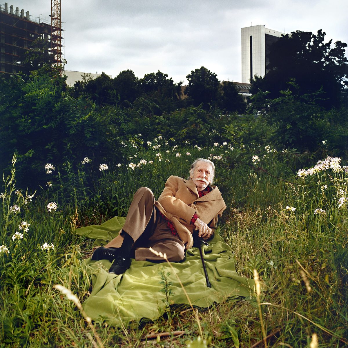 George Tabori resting on a blanket in a meadow with flowers and bushes.