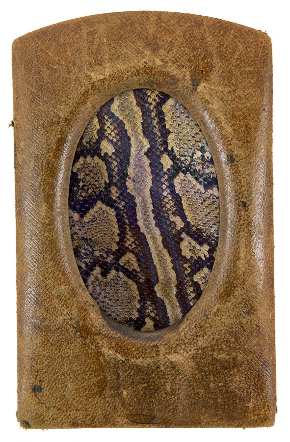 Snake skin in snake frame.